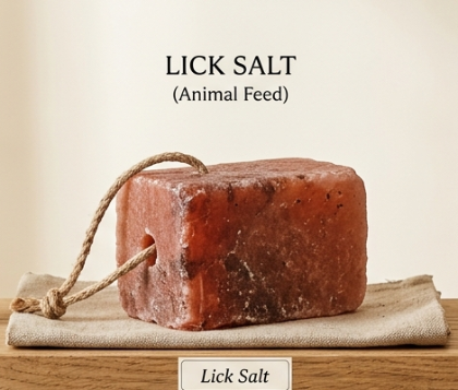Lick salt photo